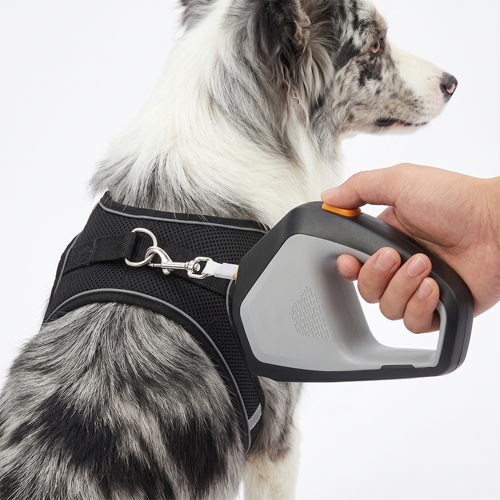 Leashes & Harnesses · Geometric Retractable Pet Leash