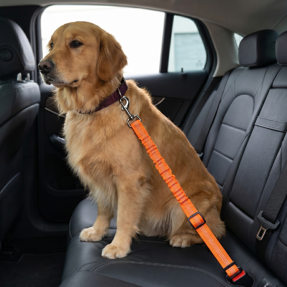 Leashes & Harnesses · Pet Car Safety Belt