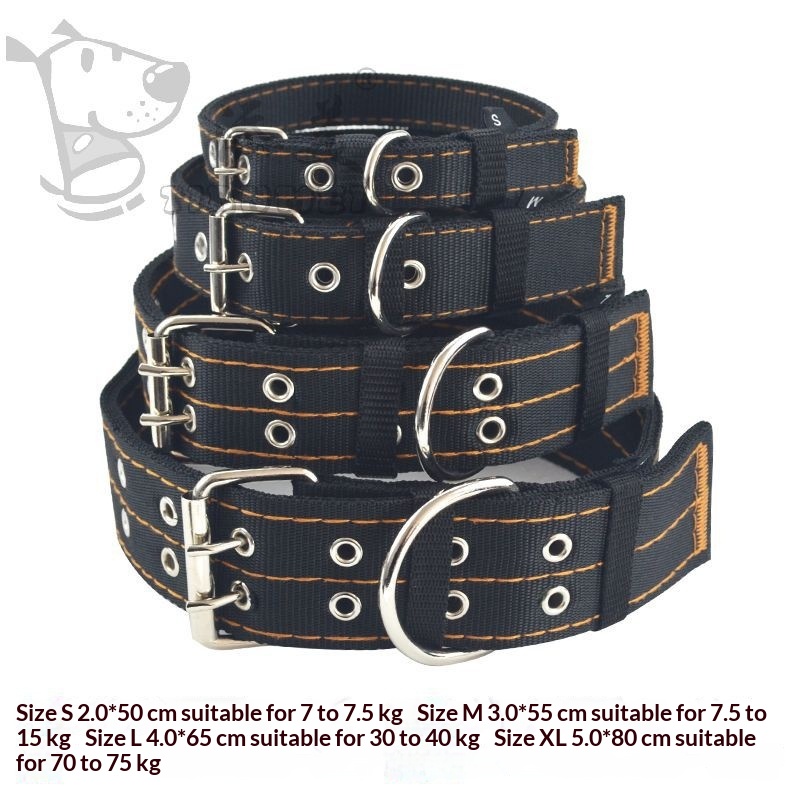 Leashes & Harnesses · Pet Collar