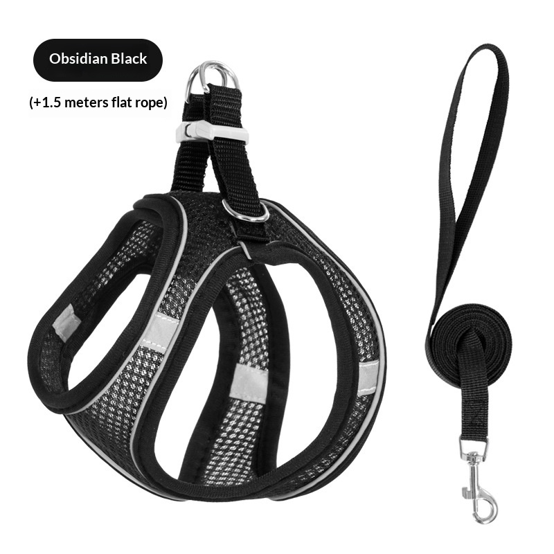 Leashes & Harnesses · Pet Walking Set